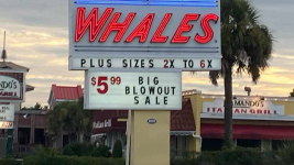 1629805530400.png 1629805530400.png