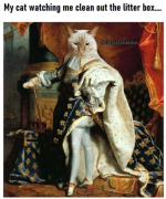 1668726387694.png