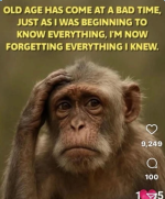 1759041142010.png